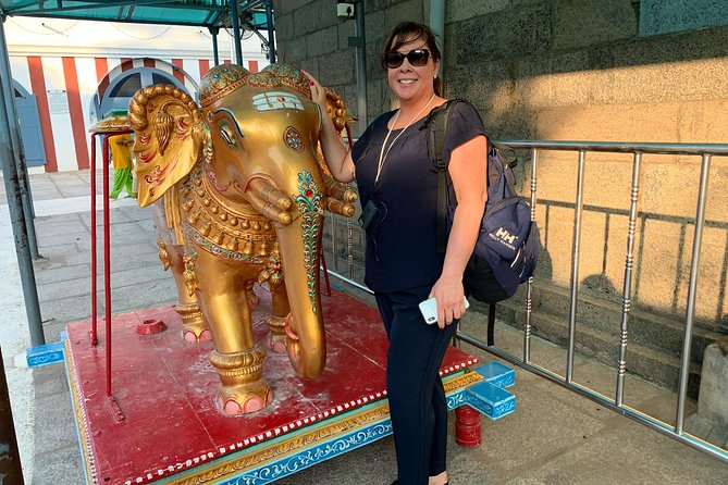 Mylapore Walking Tour by Wonder Tours - Meeting Information