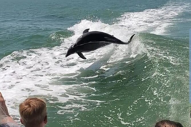 Myrtle Beach Dolphin Cruise - Customer Feedback and Experiences