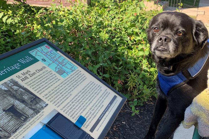 Mysteries on the Move: Scavenger Hunt in Gettysburg - Navigational Challenges and Technical Hurdles