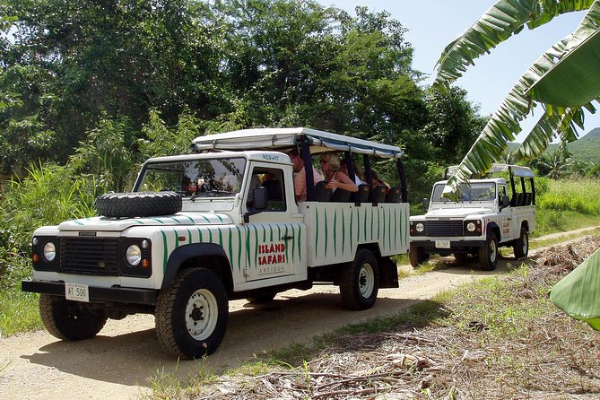 Mystic Island Safari - About Your Stay