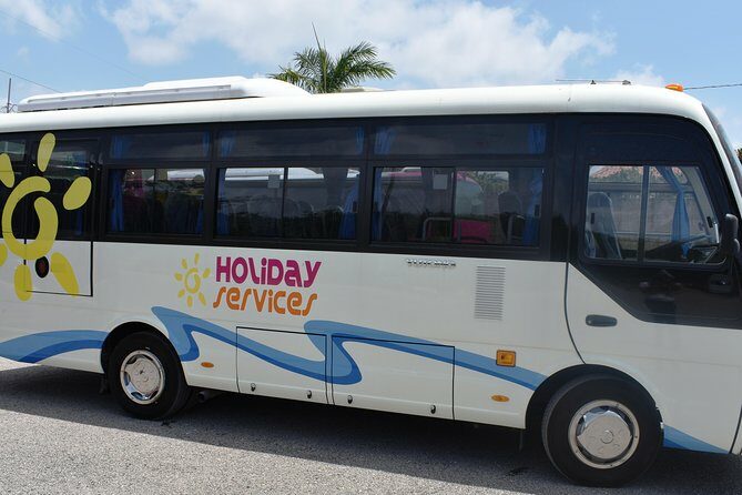 Mystic Luminescent Lagoon Night Cruise & Swim in Jamaica - Final Thoughts on Value and Experience