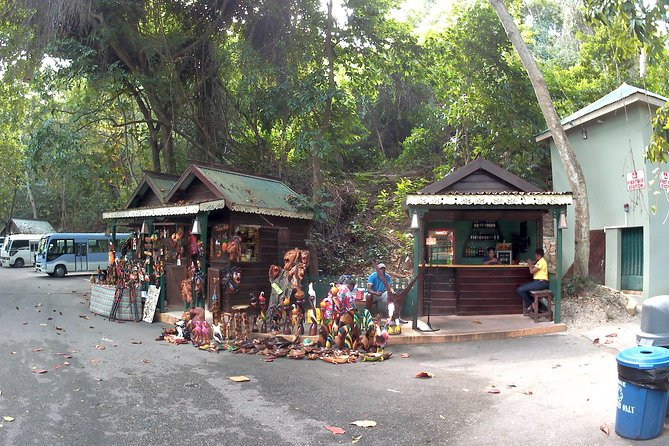 Mystic Mountain Rainforest Adventures - Convenient Transportation Options