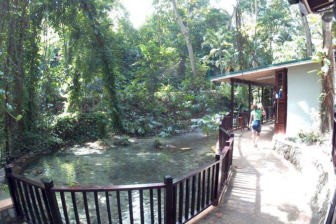 Mystic Mountain Rainforest Adventures - Accessibility and Accommodations