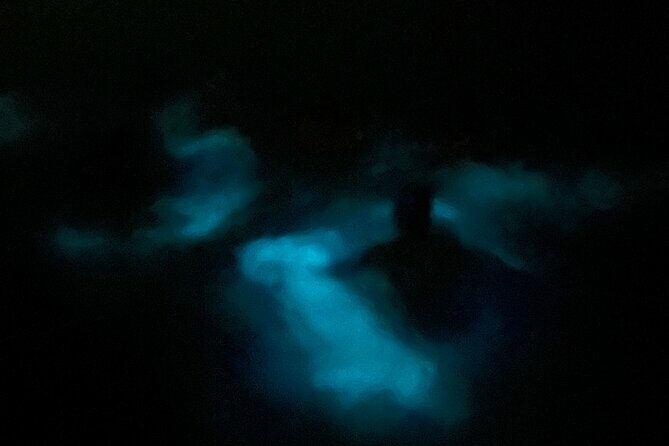 Mystic Waters A Bioluminescent Night Tour - Setting Out for the Bioluminescent Wonder