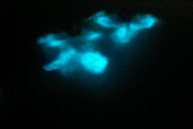 Mystic Waters A Bioluminescent Night Tour - Meeting Point and Departure