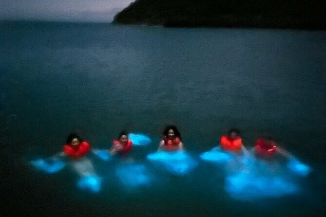 Mystic Waters A Bioluminescent Night Tour - The Bioluminescent Bay: Glowing Waters Up Close