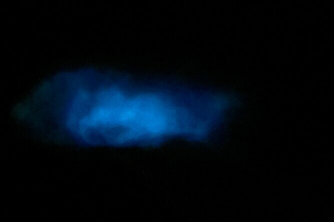Mystic Waters A Bioluminescent Night Tour - Educational and Relaxing Atmosphere