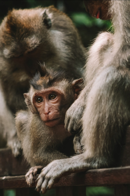 Mystical Bali Adventure - Scenic Attractions