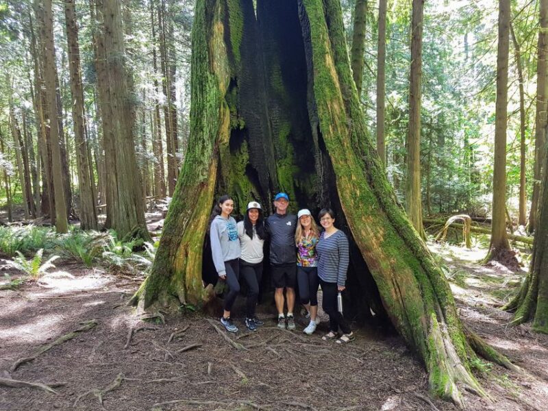 Mystical Rainforest Tour - Forest Magick - Nature Mysticism Practices