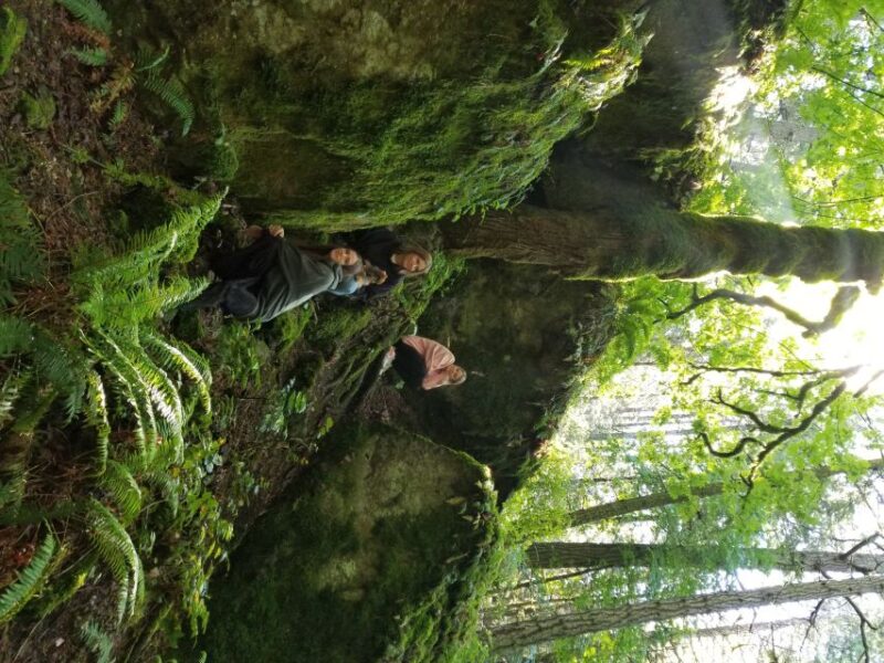 Mystical Rainforest Tour - Forest Magick - Ancient Douglas Fir Encounter