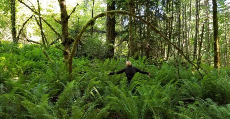 Mystical Rainforest Tour - Forest Magick - Mindfulness-based Tour Experience