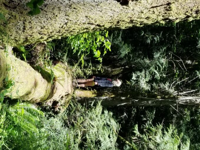 Mystical Rainforest Tour - Forest Magick - Supplementary Free Activities