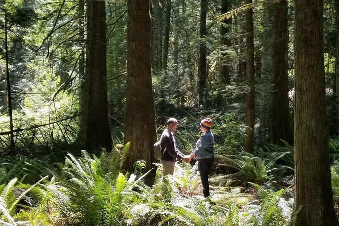 Mystical Rainforest Tour - Forest Magick - Immersion in Temperate Rainforest