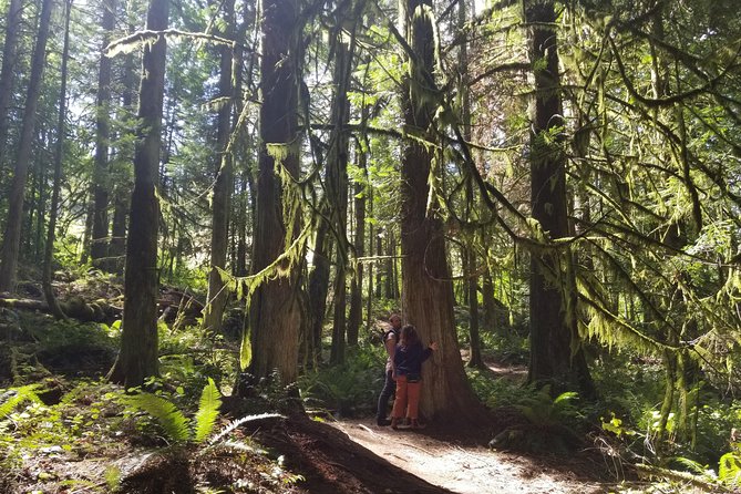 Mystical Rainforest Tour - Forest Magick - Local Guide and ASL-Fluent