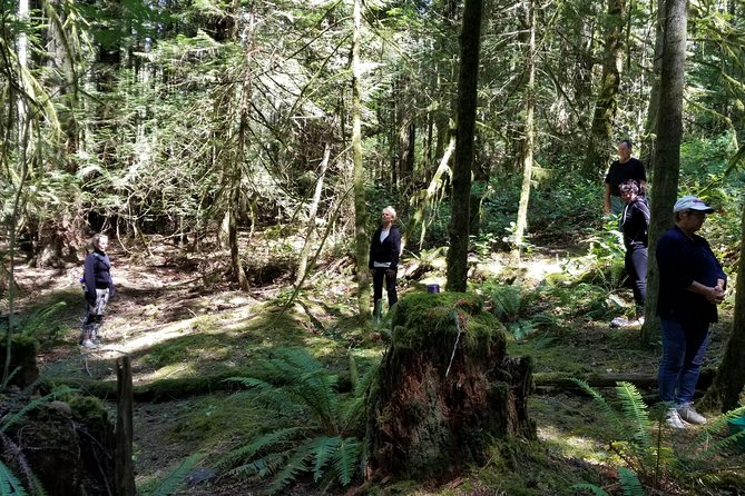 Mystical Rainforest Tour - Forest Magick - Meeting and Pickup Details