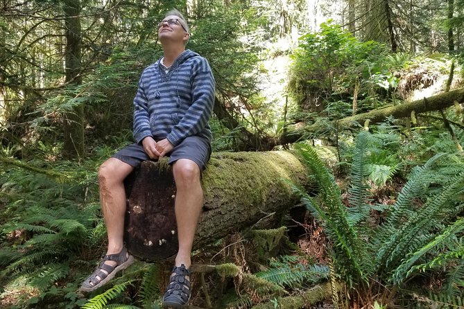 Mystical Rainforest Tour - Forest Magick - Personalized Small Group Experience