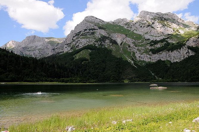 Mystical Sutjeska National Park - Pricing and Cancellation Policy