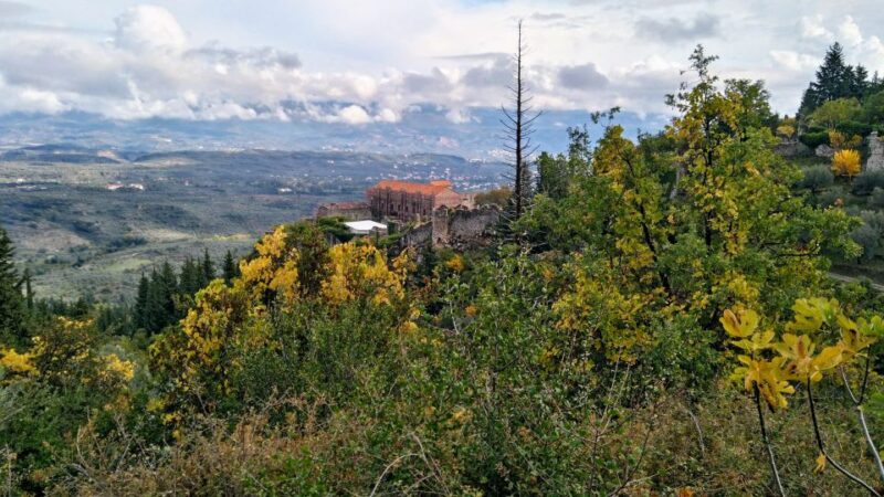Mystras Castle Town, Sparta, Olive Museum Private Day Tour - Key Points