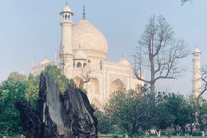 Myth Busting Tour of History in Taj Mahal - Booking Information