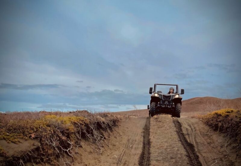 Mývatn: Lake Mývatn ATV Guided Safari Experience - Booking Flexibility