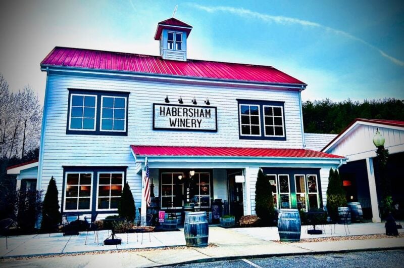 N. Georgia Private Wineries Tour, Dine and Shop From Atlanta - Itinerary Highlights
