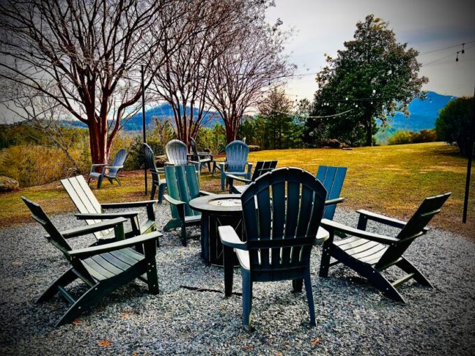 N. Georgia Private Wineries Tour, Dine and Shop From Atlanta - Winery Tastings