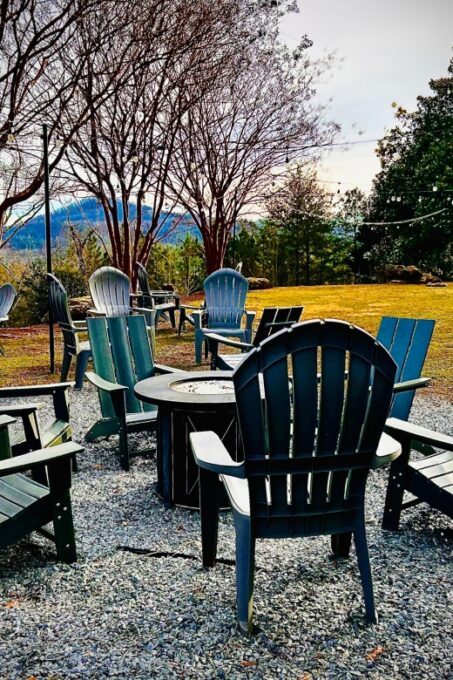 N. Georgia Private Wineries Tour, Dine and Shop From Atlanta - Optional Activities
