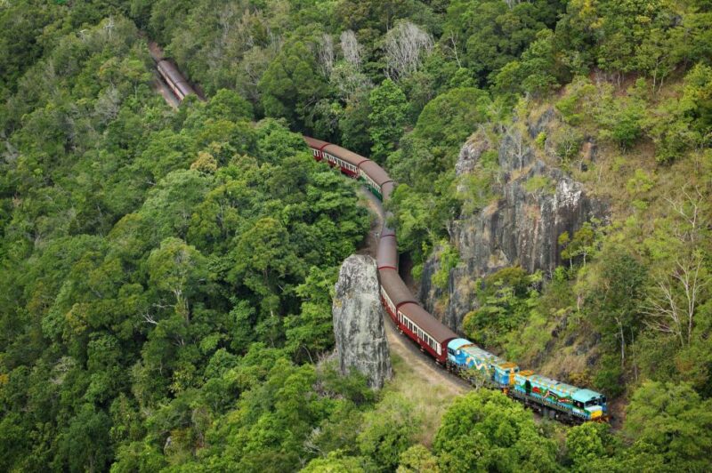 N. Queensland: Kuranda Rainforest Full-Day Tour - Key Points