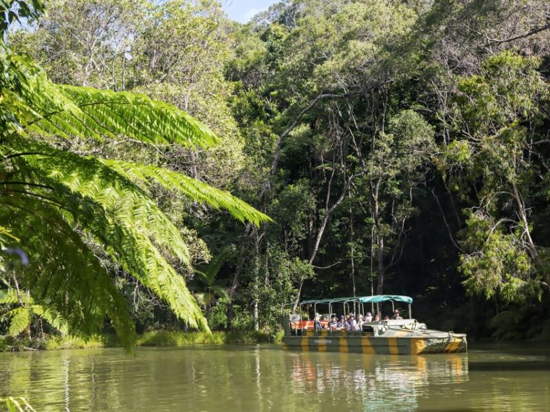 N. Queensland: Kuranda Rainforest Full-Day Tour - Booking and Logistics