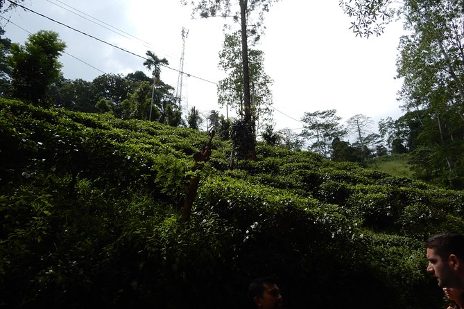 N Trekkers Matale - Inclusions
