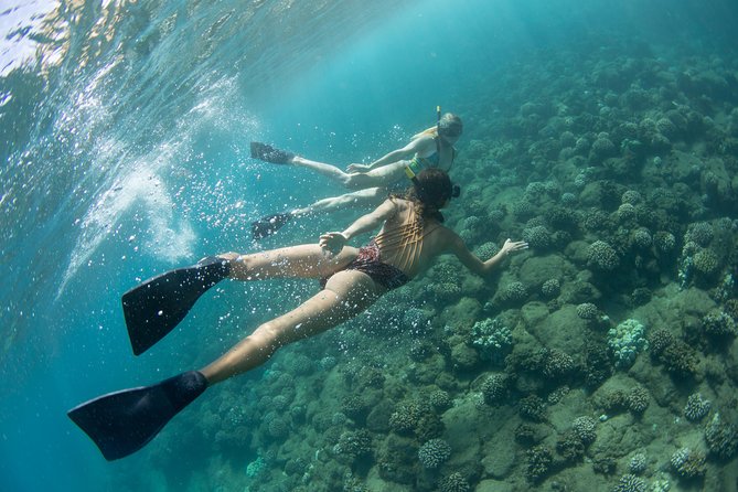 Na Pali Coast Kauai Snorkel and Sail - Passenger Policies