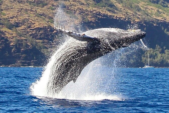 Na Pali Coast Zodiac Raft Expedition + Snorkeling on Kauai - Physical Fitness Requirements