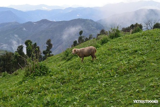 Naag Tibba Trekking and Hiking 2 Nights and 3 Days - Essential Gear and Preparation