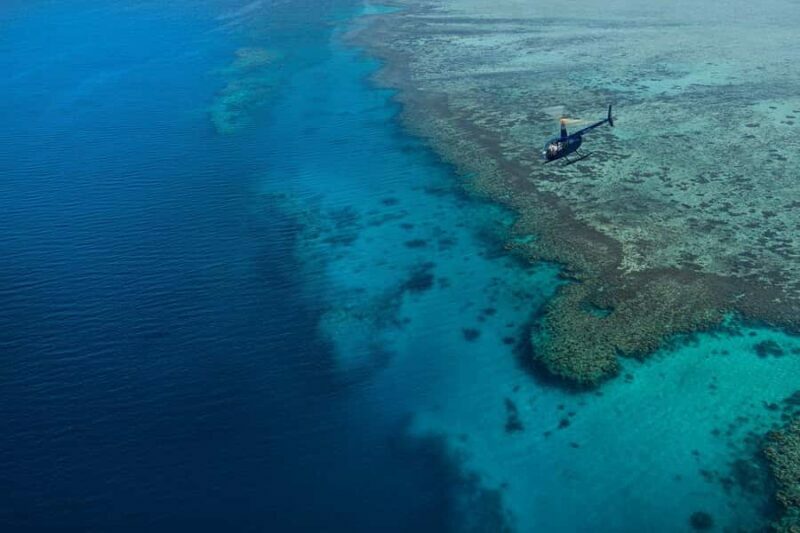 Nadi: 25 minutes Mamanuca Island Tour - Who Should Consider This Tour?