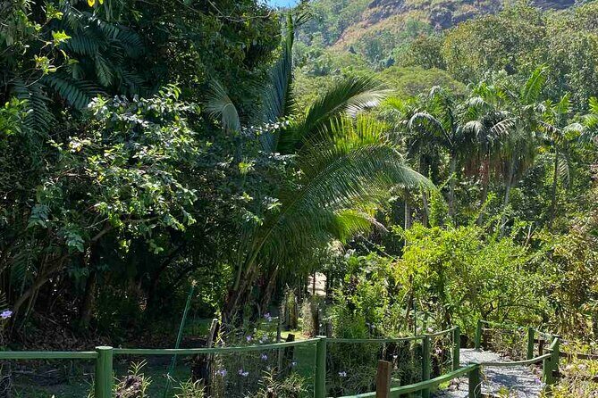 Nadi Fiji Historical Half Day Tour - A Closer Look at the Tour Experience