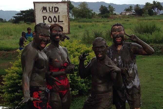Nadi Half-Day Tour - Booking and Availability