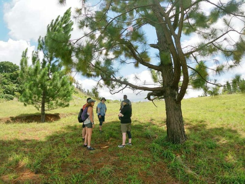 Nadi: Hidden Peaks Small Group Hiking Adventure - Who Should Book This Tour?