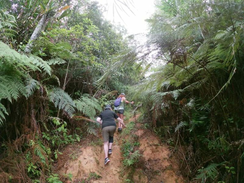 Nadi: Hidden Peaks Small Group Hiking Adventure - Frequently Asked Questions