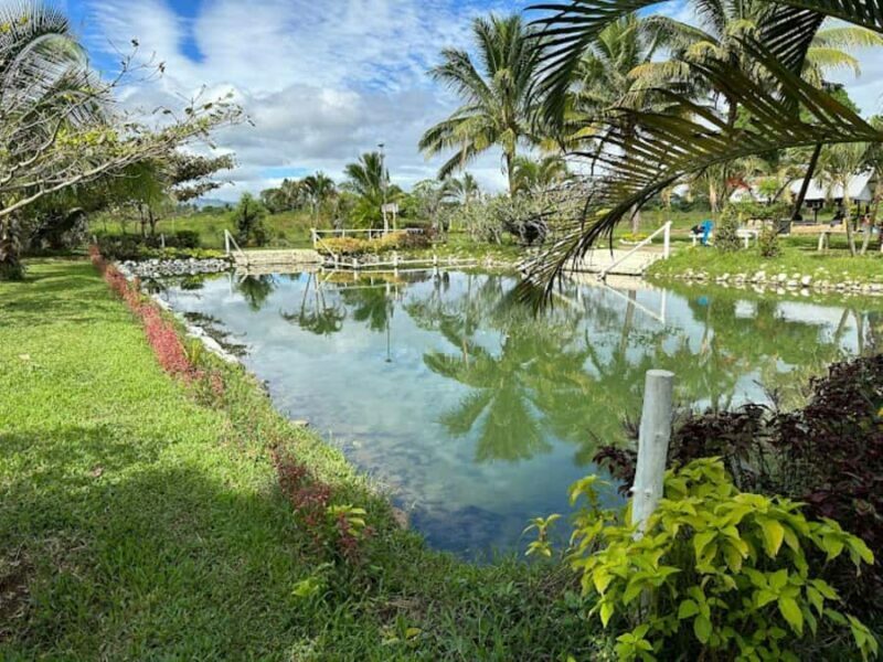 Nadi: Mud Pool and Hot Spring Private Tour - Stunning Views and Peaceful Surroundings