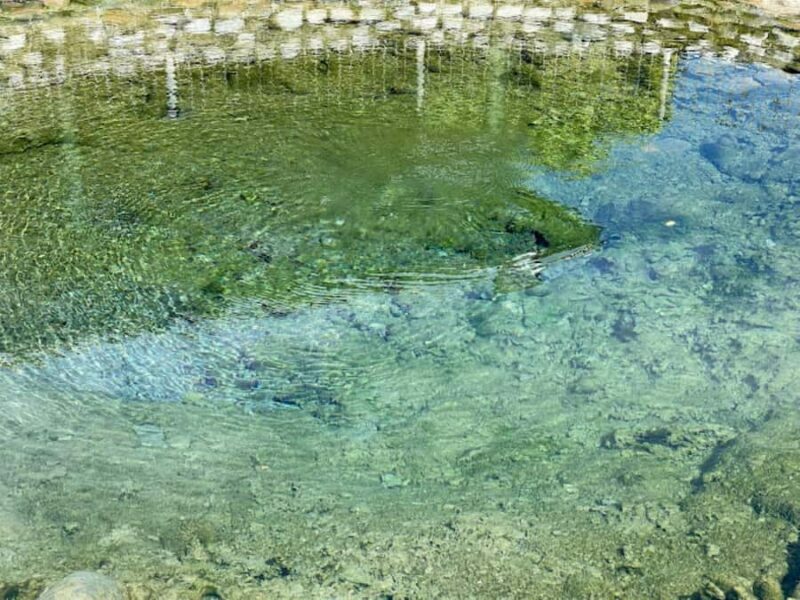Nadi: Mud Pool and Hot Spring Private Tour - How Does It Compare to Similar Experiences?