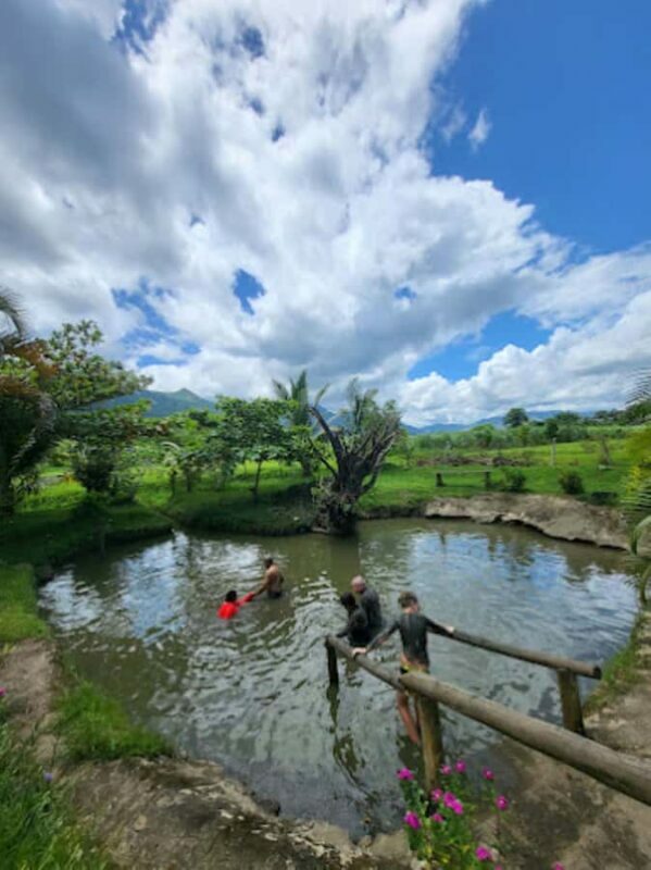 Nadi: Mud Pool and Hot Spring Private Tour - Is It Worth the Price?