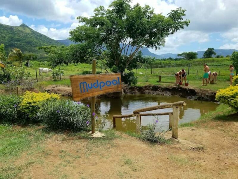 Nadi: Mud Pool and Hot Spring Private Tour - The Sum Up: Who Should Consider This Tour?