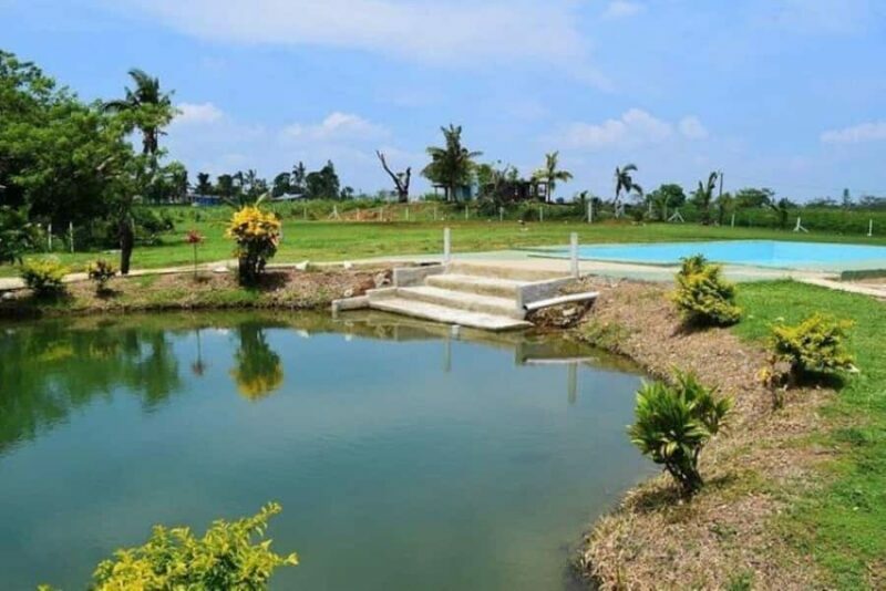 Nadi: Mud Pool and Hot Spring Private Tour - FAQs