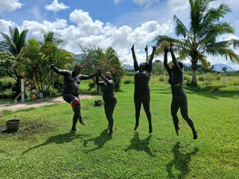 NADI: Sabeto Tifajek Mudpool & Hot Spring Tours & Tickets - Key Points