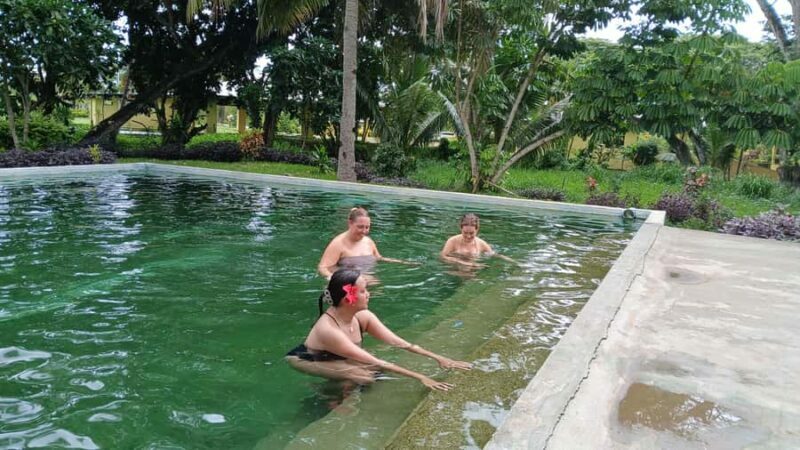 NADI: Sabeto Tifajek Mudpool & Hot Spring Tours & Tickets - An In-Depth Look at the Sabeto Tifajek Tour Experience
