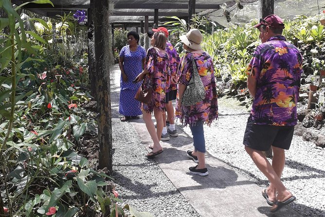 Nadi Sightseeing & Mud Pool Tour - Highlights of the Tour