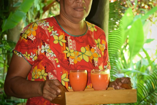 Nadi Therapeutic Mud Pools and Garden Tour - Shore Excursions EX PORT DENARAU - Accessibility Considerations