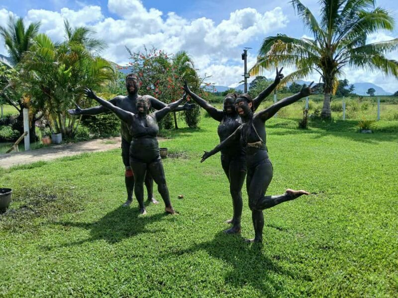 NADI: Tifajek Mud Pool and Hot Spring Natural Spa Tour - In-Depth Review of the Tifajek Mud Pool and Hot Spring Spa Tour