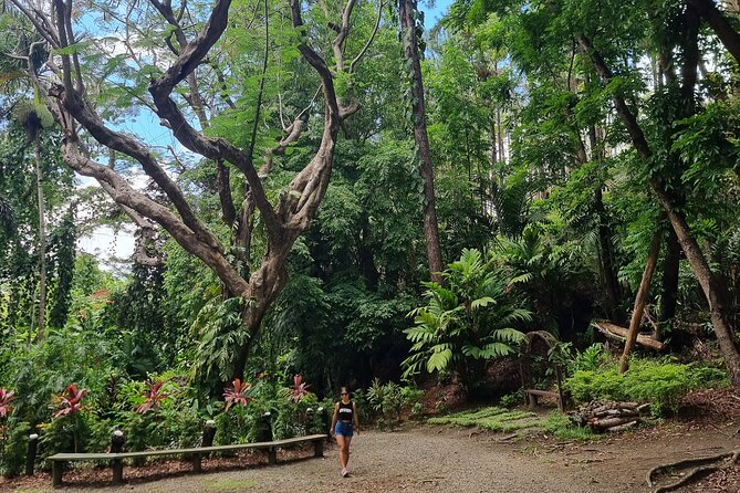 Nadi Tour of Gardens N Village N Mudpool Excluding Entry Fee - Meeting and Pickup Information