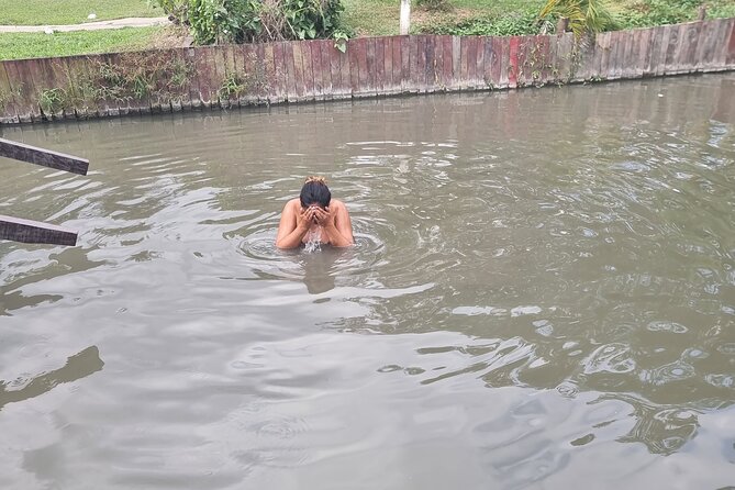 Nadi Tour of Gardens N Village N Mudpool Excluding Entry Fee - Tour Experience